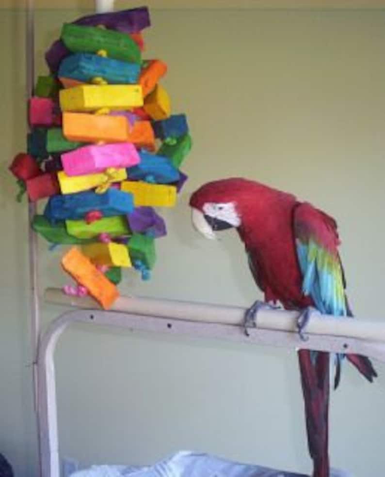 May include: A red and blue macaw parrot perched on a wooden perch, looking at a colorful wooden toy hanging from the ceiling.