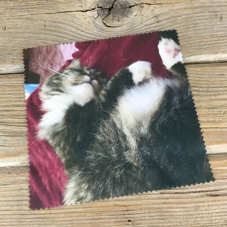 May include: A close-up of a black and white cat with a red blanket. The cat is lying on its back with its paws in the air.