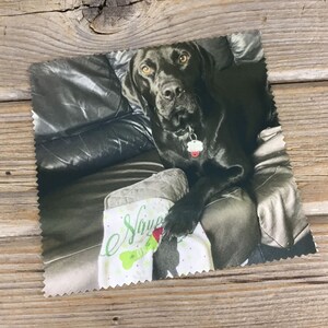 May include: A black Labrador Retriever dog sitting on a brown leather couch. The dog is wearing a collar with a tag that says "Nova". The dog is looking at the camera. The dog is sitting on a white and green pillow with the word "Nova" written on it.