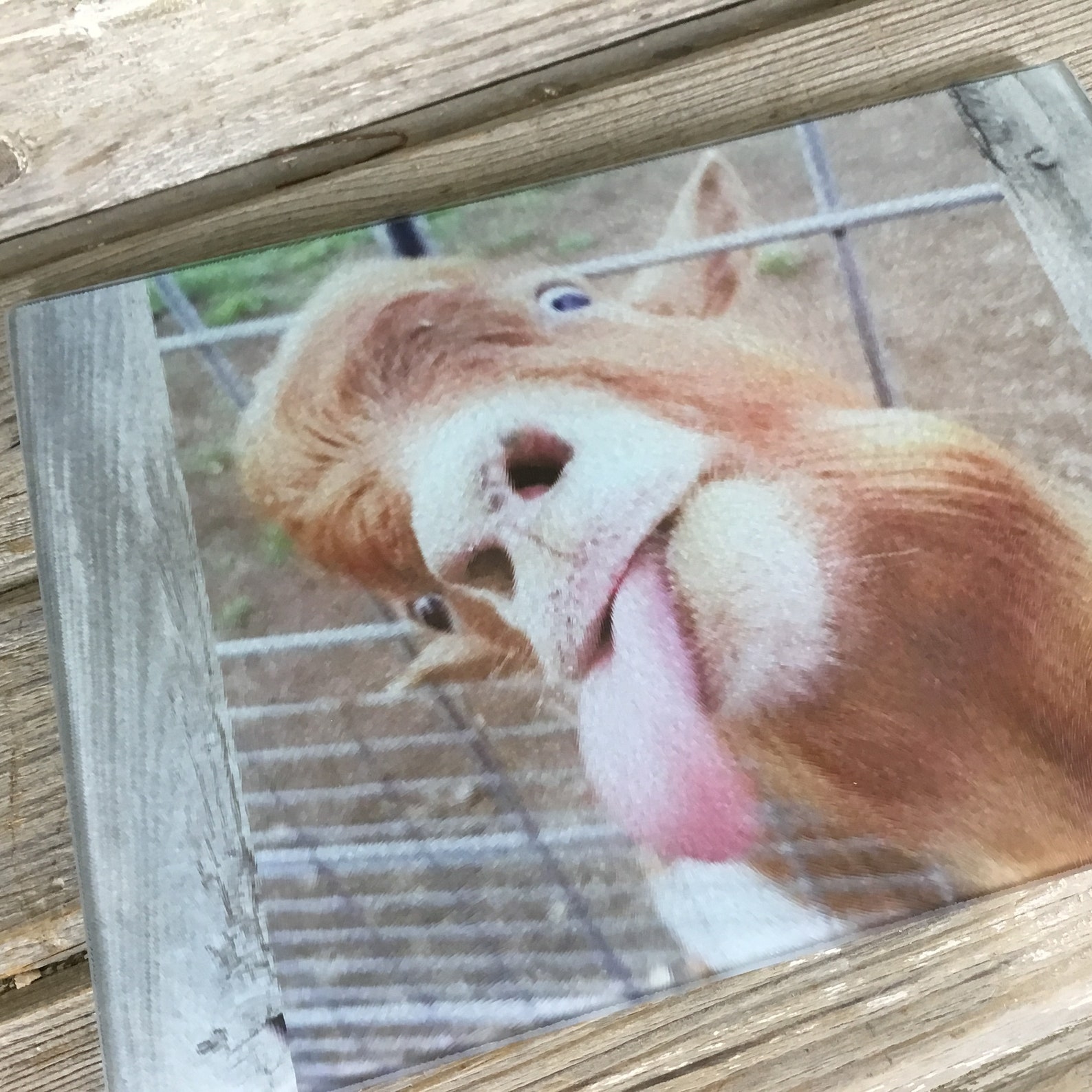 Goat Glass Cutting Board Kitchen Decor Housewarming Gift Etsy