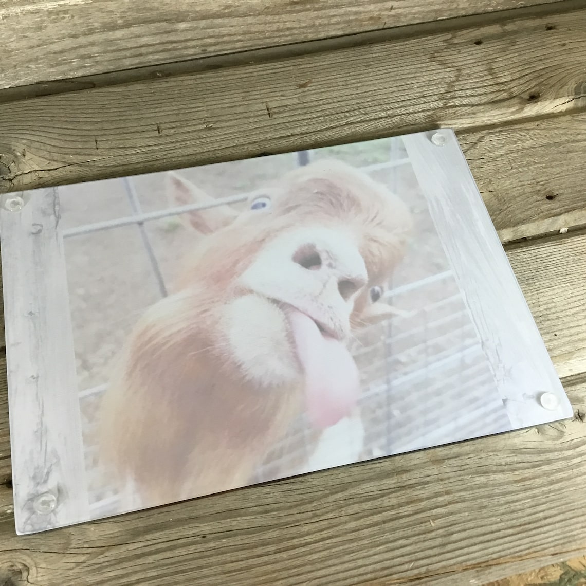 Goat Glass Cutting Board Kitchen Decor Housewarming Gift Etsy