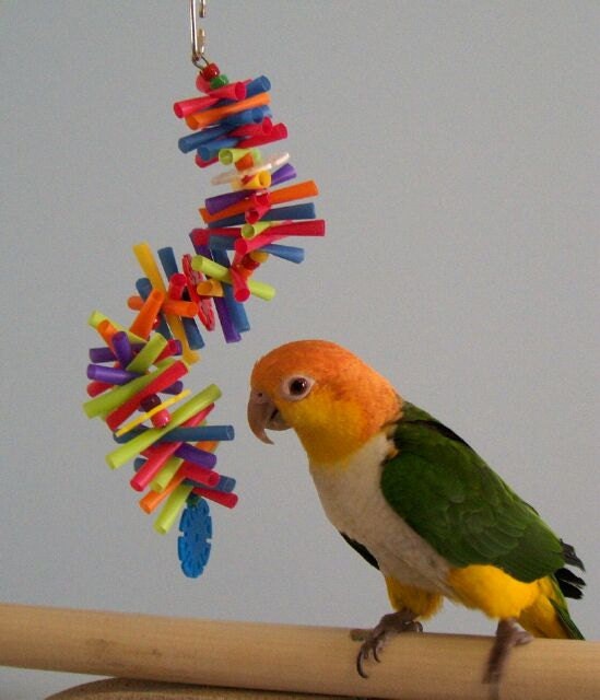 Small Bird Toy Straw Toy Bird Toys Parrot Toy Sm Silly Etsy