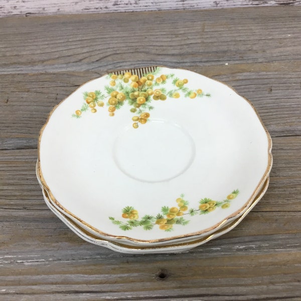 Carrollton China Plates Etsy