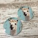 Alpaca Rustic Wood Coasters Set of 2 Car Coasters - Etsy