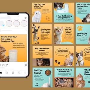 Puede incluir: Un collage de 12 publicaciones de Instagram con consejos y datos curiosos sobre los gatos. Las publicaciones presentan fondos coloridos con huellas de patas e ilustraciones de gatos. Cada publicación trata sobre un tema diferente, como cómo entrenar a tu gato para que use un rascador, por qué a los gatos les gustan las cajas y si los gatos reconocen sus propios nombres.