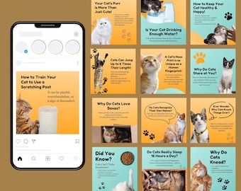 120 mallar för sociala medier för katter, husdjursinlägg, redigerbara Canva-inlägg, mallar för sociala medier för veterinärer