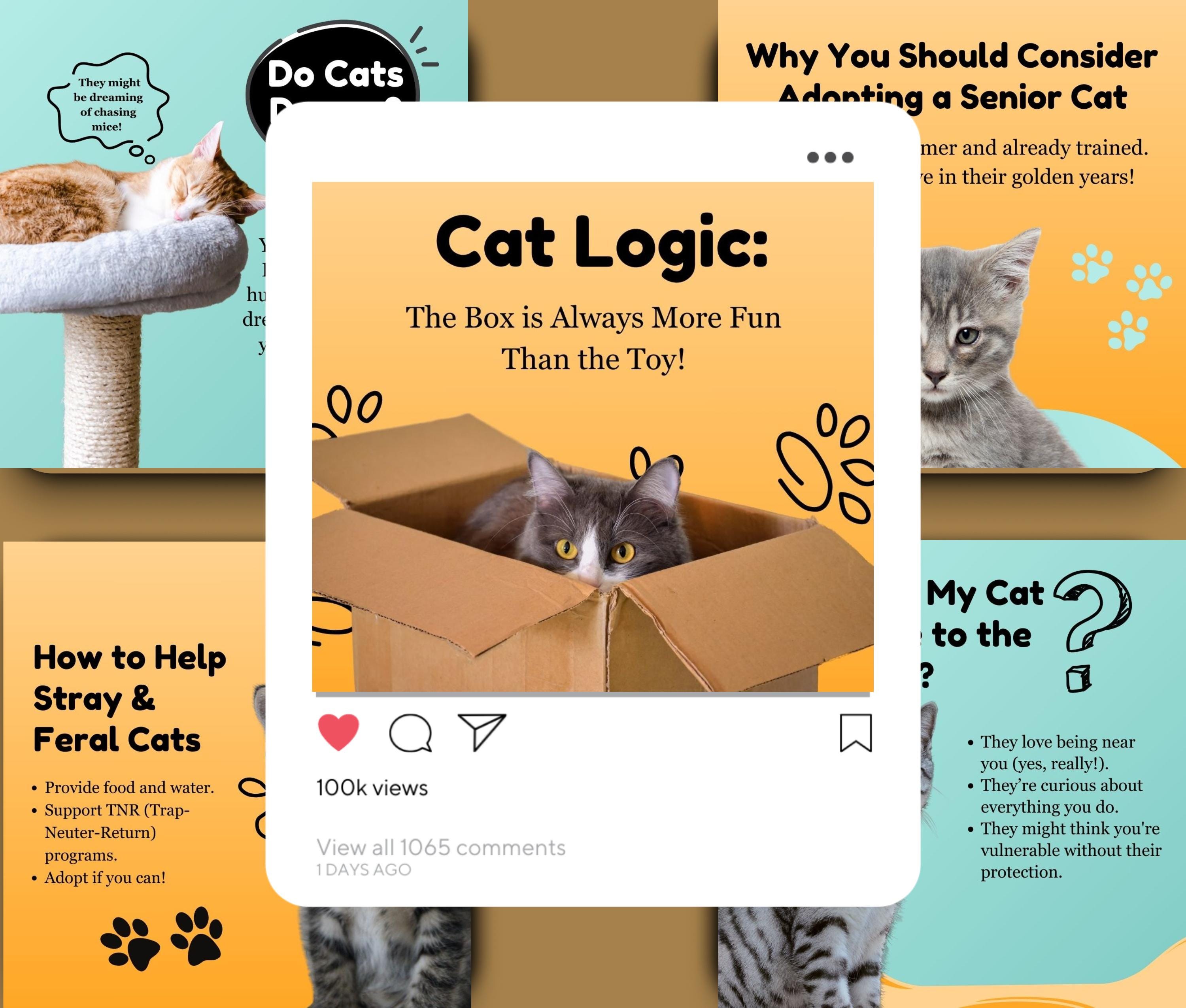 120 Cat Social Post Templates, Pet Posts, Editable Canva Posts ...