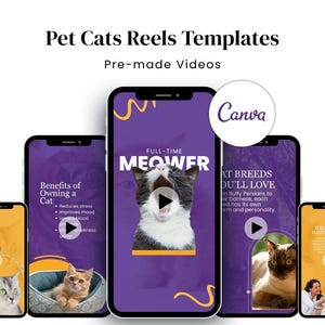 Puede incluir: Varios smartphones que muestran "Pet Cats Reels Templates" con videos prefabricados. Las pantallas presentan contenido relacionado con gatos, incluyendo texto e imágenes de gatos. El logotipo de Canva también es visible.