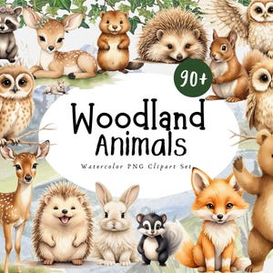 Cute Woodland Forest Animals Watercolor Nursery Clipart, Boho Nursery Woodland PNG, Baby Shower Clipart, Commercial Use - PNG Bear, Fox, Owl