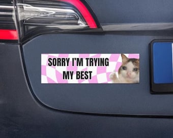 Tut mir leid, ich versuche mein Bestes Autoaufkleber, lustiger Gen Z Meme Autoaufkleber, Y2K Pink ästhetischer Aufkleber, Y2K Geschenk für sie