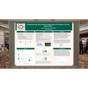 Editable Research Poster | Pre-formatted | Scientific Conference Poster | 36x48 + Google + PowerPoint | University Project Template