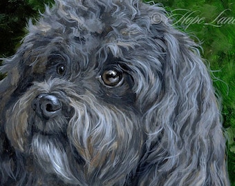 Custom Pet Portrait Painting in Acrylic or Oil, Havanese, 9"x 12" dog, or cat painting on archival panel by Hope Lane