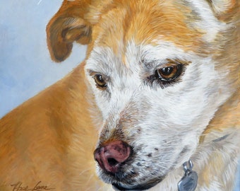Rescue Dog Painting, Custom Pet Portrait, Original Dog Portrait, 12 x 12 oil or acrylic painting from your photo by Hope Lane