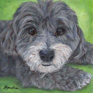 Custom Pet Portrait, Havanese Art, Dog Painting from a photo, 8x8 original pet painting by Hope Lane image 1