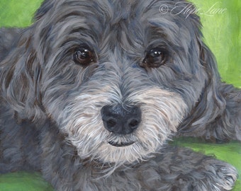 Custom Pet Portrait, Havanese Art, Dog Painting from a photo, 8x8 original pet painting by Hope Lane