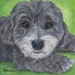 see more listings in the 8 x 8 Pet Portraits section