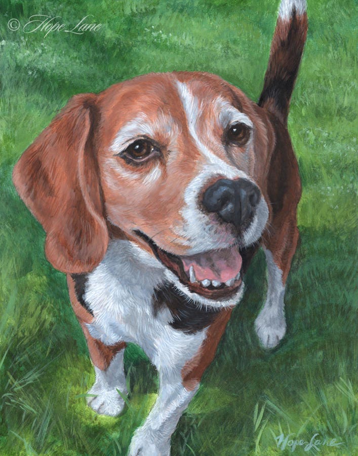 Painted boobs beagle