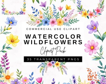 Aquarell Wildblumen Clipart: Blumen PNG, Hochzeit & Baby Party (digitaler Download)