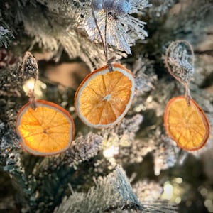 Natural Dried Orange Slice Oranament, Christmas, Yule, Citrus, Winter Solstice, Magic, Boho Decor, Dehydrated, Festive, Gift, Rustic Holiday