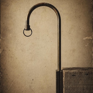 Op de afbeelding: Een donkerbruine metalen haak met een gebogen bovenkant en een kleine ring, bevestigd aan een houten blok. De haak vertoont tekenen van slijtage, tegen een sepia-achtergrond, wat een antieke of rustieke uitstraling oproept. Het houten blok is ruw bewerkt.