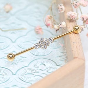 May include: A gold-colored industrial barbell earring with a cluster of clear, round-cut cubic zirconia stones. The barbell has a ball on each end. The earring is displayed on a light blue surface with dried flowers in the background.