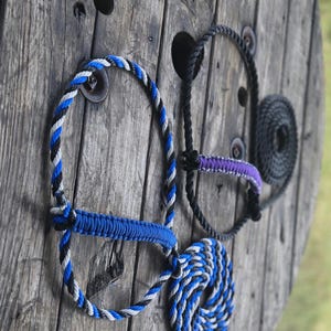 May include: Two rope halters and two coiled ropes. One halter features a blue, black, and white twisted rope with a blue braided noseband. The second halter is black with a purple braided noseband. Two additional coiled ropes are included.