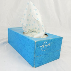 Vintage 1965 Lady Scott Facial Tissue Box 95% Full 2-Ply 200 Ct