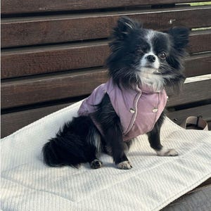 犬用高級マットレス、簡単に巻ける犬用マット、ロールアウトできる犬用マット、犬用旅行用マット、犬用セトルマット、犬用カフェマット、クチュール犬用旅行用マット
