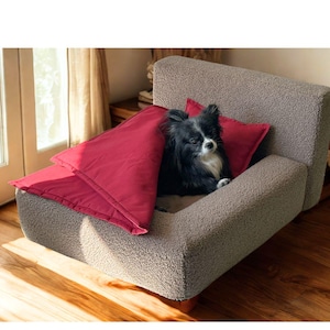 Luxury Dog Bed, Mini Pet Sofa Bed Like Human, Custom Teddy Bouclé Pet Bed, Designer Pet Furniture, Personalized Dog Couch, Pet Lovers Gift