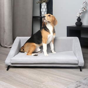 One of a kind and luxury dog sofa, exclusive pet furniture, Soft interior dog bed, Upholstered dog bed, Dog rest corner, luxury dog couch