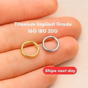 Hinged Segment Nose Ring, Tragus Hoop, Conch Hoop, Septum Clicker Ring, Nose Hoop, Seamless Clicker 20G/18G/16G- Titanium Grade