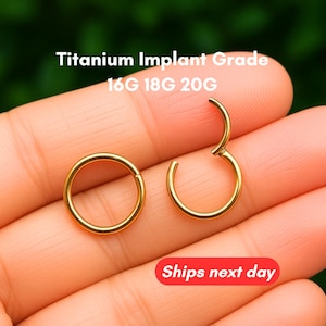 Hinged Segment Nose Ring, Septum Clicker Ring, Nose Hoop, Septum Ring, Seamless Clicker (6-12mm) 20G/18G/16G/14G - Titanium Implant Grade