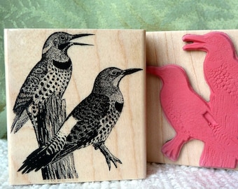 Flickers bird rubber stamp from oldislandstamps