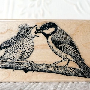 Timbro in gomma con pettirosso che nutre un uccellino di oldislandstamps
