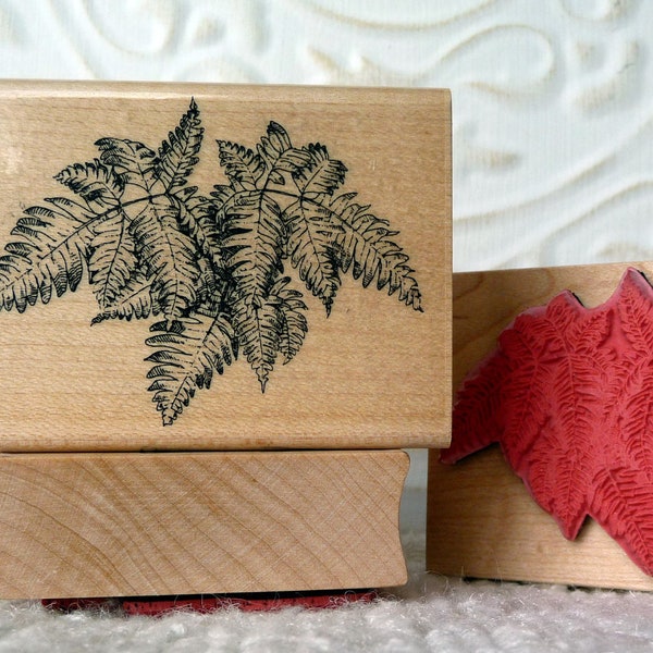 Boston Fern Plant rubber stamp from oldislandstamps