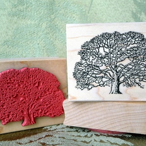 Oak Tree rubber stamp from oldislandstamps image 1