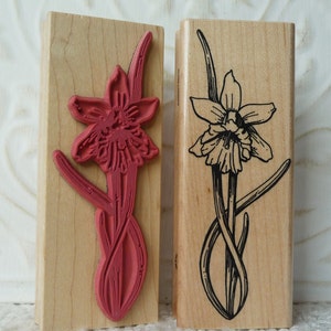 Daffodil Spring Flower rubber stamp from oldislandstamps