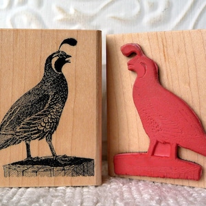 California Quail rubber stamp from oldislandstamps