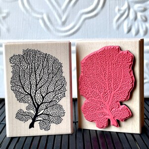 Lacey Sea Fan coral rubber stamp from oldislandstamps image 2