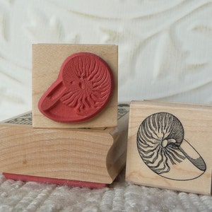 May include: Two wooden rubber stamps with nautilus shell designs. One stamp features a red nautilus shell, while the other features a black and white nautilus shell.