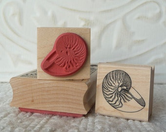 Nautilus Shell rubber stamp from oldislandstamps