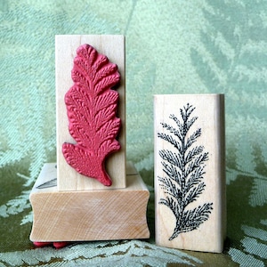 Small Cedar branch rubber stamp from oldislandstamps