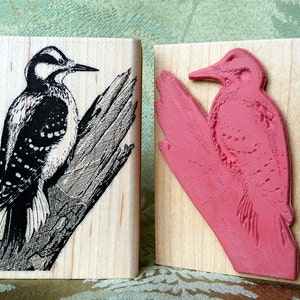Hairy Woodpecker Bird rubber stamp from oldislandstamps