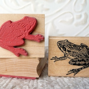 Tampon en caoutchouc grenouille d'oldislandstamps