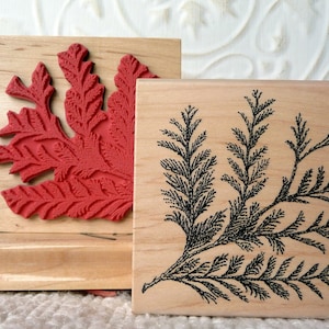 May include: Two wooden mounted rubber stamps, one with a red detailed fern design and the other with a black detailed fern design.