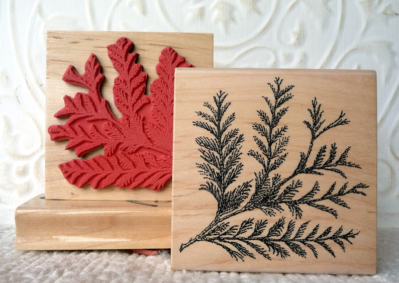 Cedar Branch rubber stamp from oldislandstamps image 1