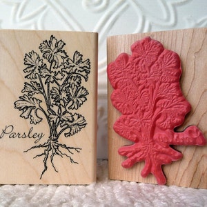 May include: Two wooden stamps featuring a parsley design. The stamp on the left has a black and white illustration of parsley with the word "Parsley" printed below. The stamp on the right has a red rubber stamp of parsley.