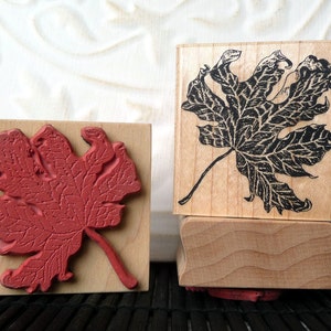 Autumn Leaf rubber stamp from oldislandstamps