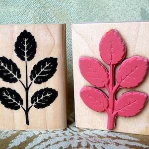 Leaves rubber stamp from oldislandstamps
