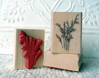 Wispy plant rubber stamp from oldislandstamps